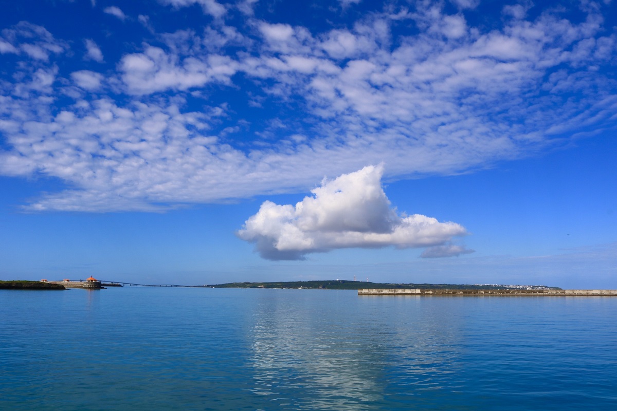 目の前の景色です。
