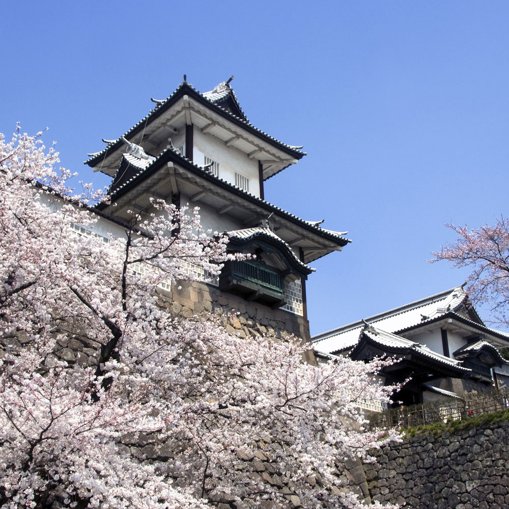 【観光情報】石川門　桜の季節　金沢人のお花見宴会といえば沈床園。周囲はお花見に最適！