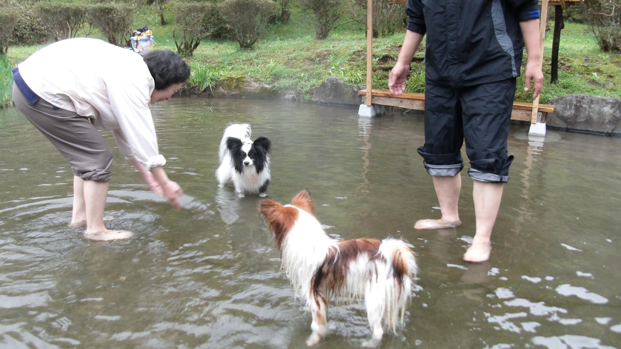 【素泊まり】 一棟貸切の離れで、温泉三昧！遊んだ後は、ペット専用のお風呂＆足湯でさっぱり！