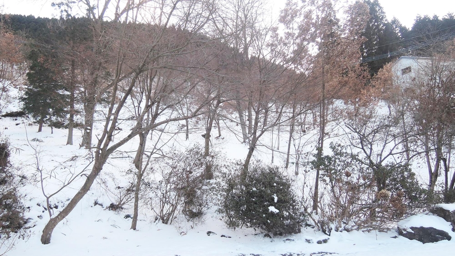 *【冬イメージ】雪景色