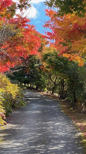 秋は紅葉もおすすめ