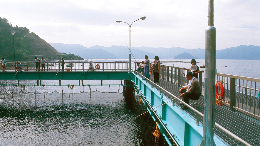 ★海釣り公園