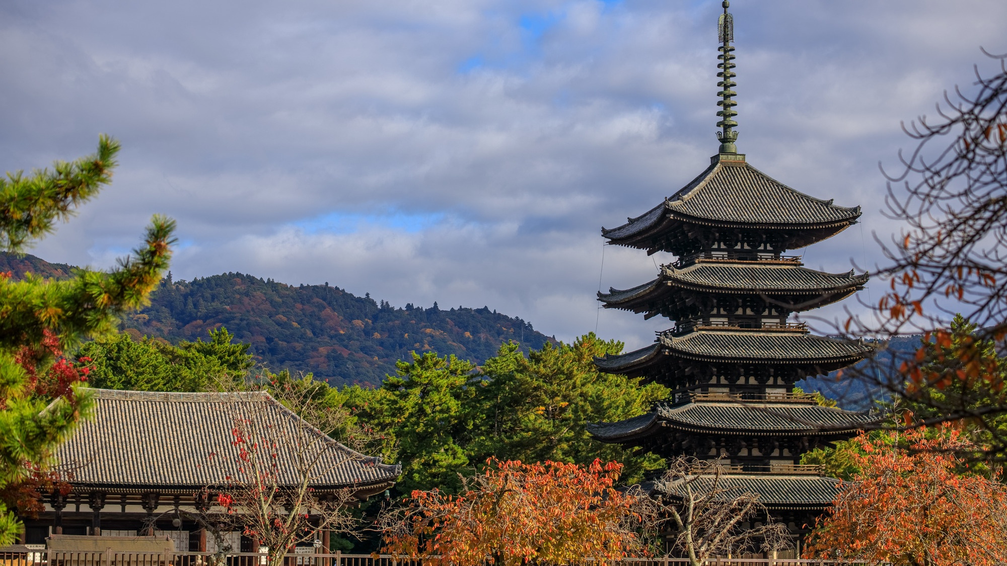 興福寺【当館から徒歩約15分】五重塔が有名で、世界遺産にも登録されている古刹
