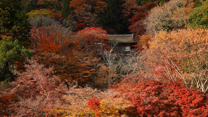 【談山神社 拝殿を望む】東館和室(次の間+ソファー付)