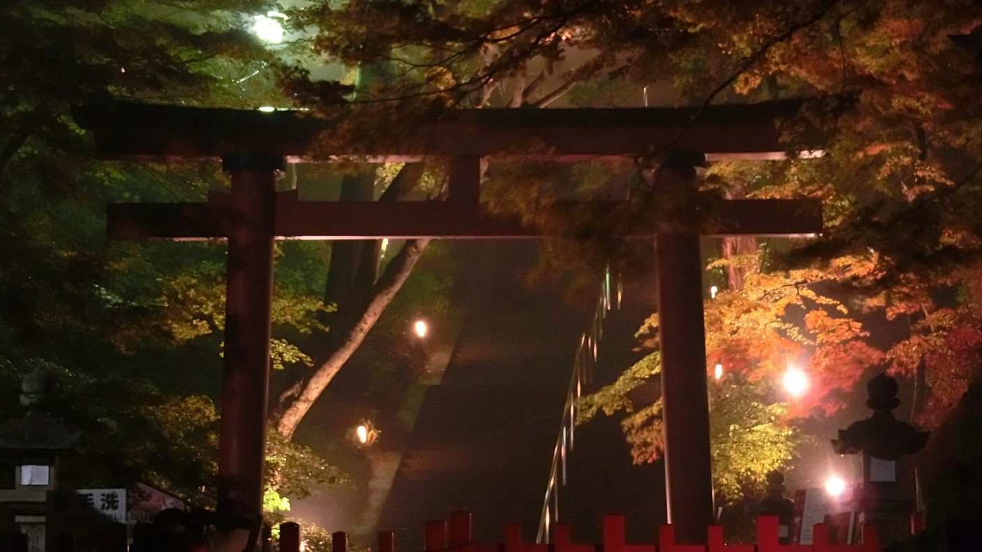 【談山神社　秋の紅葉ライトアップ】フリーパスチケット付きプラン（1泊2食付）