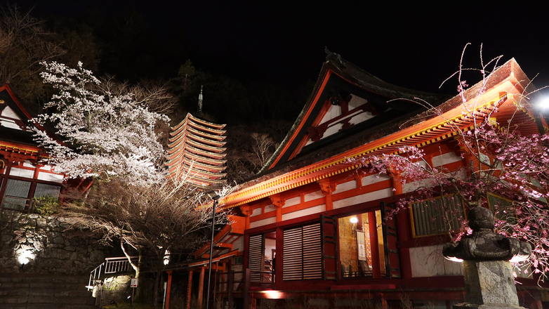 談山神社　夜桜ライトアップ