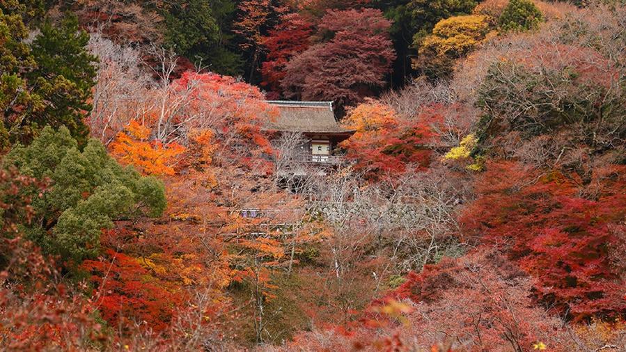 【談山神社 拝殿を望む】2ベッド+和室10畳 部屋からの眺望 談山神社 拝殿