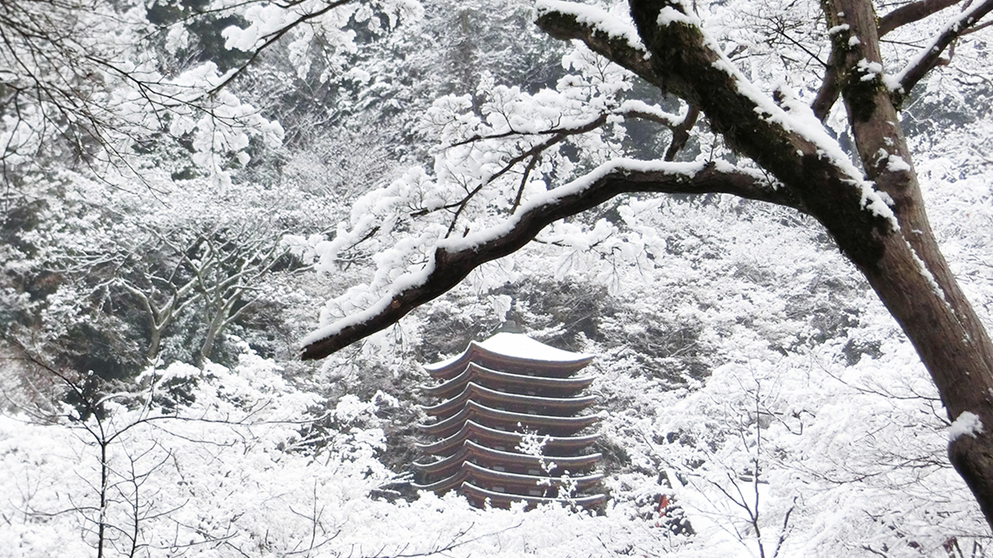 冬　白銀の談山神社