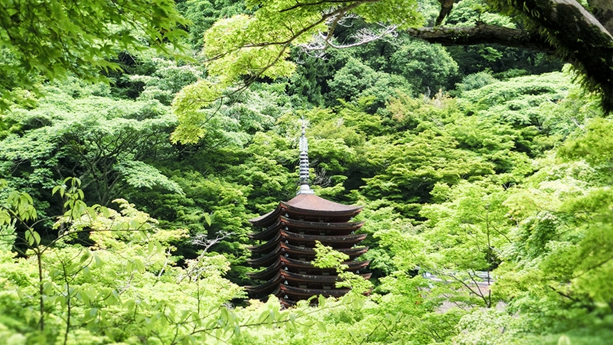 夏　談山神社　新緑の中の十三重塔