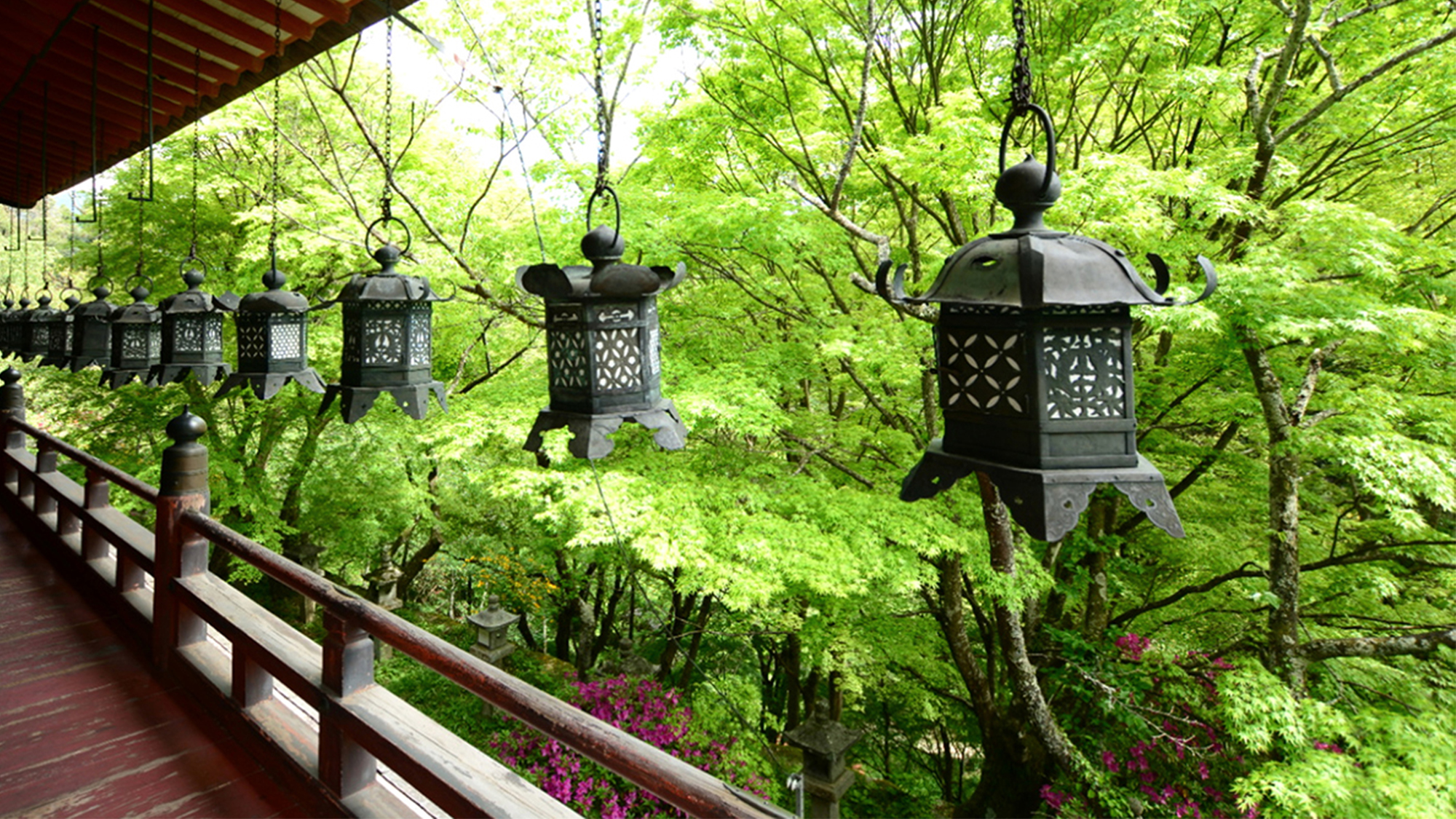 談山神社　新緑