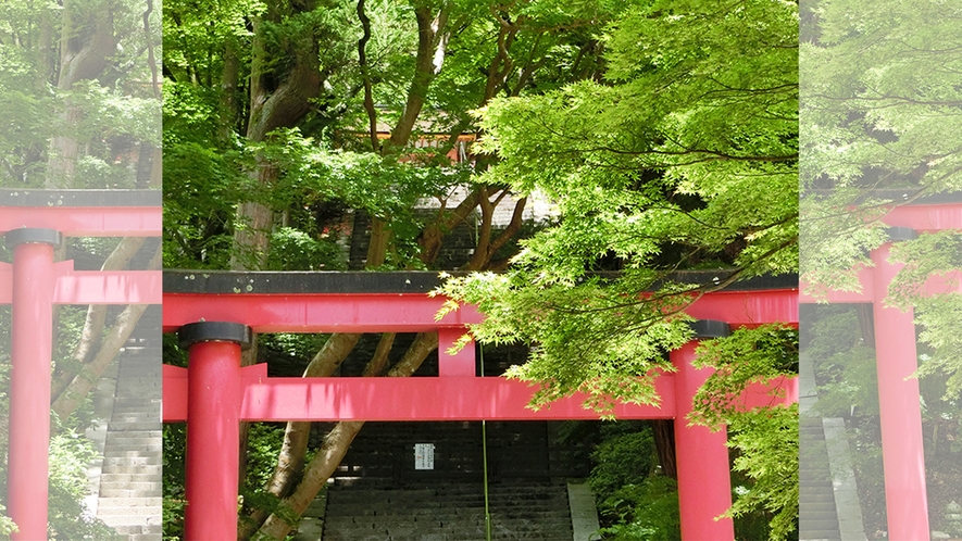 夏　談山神社　鳥居と青紅葉