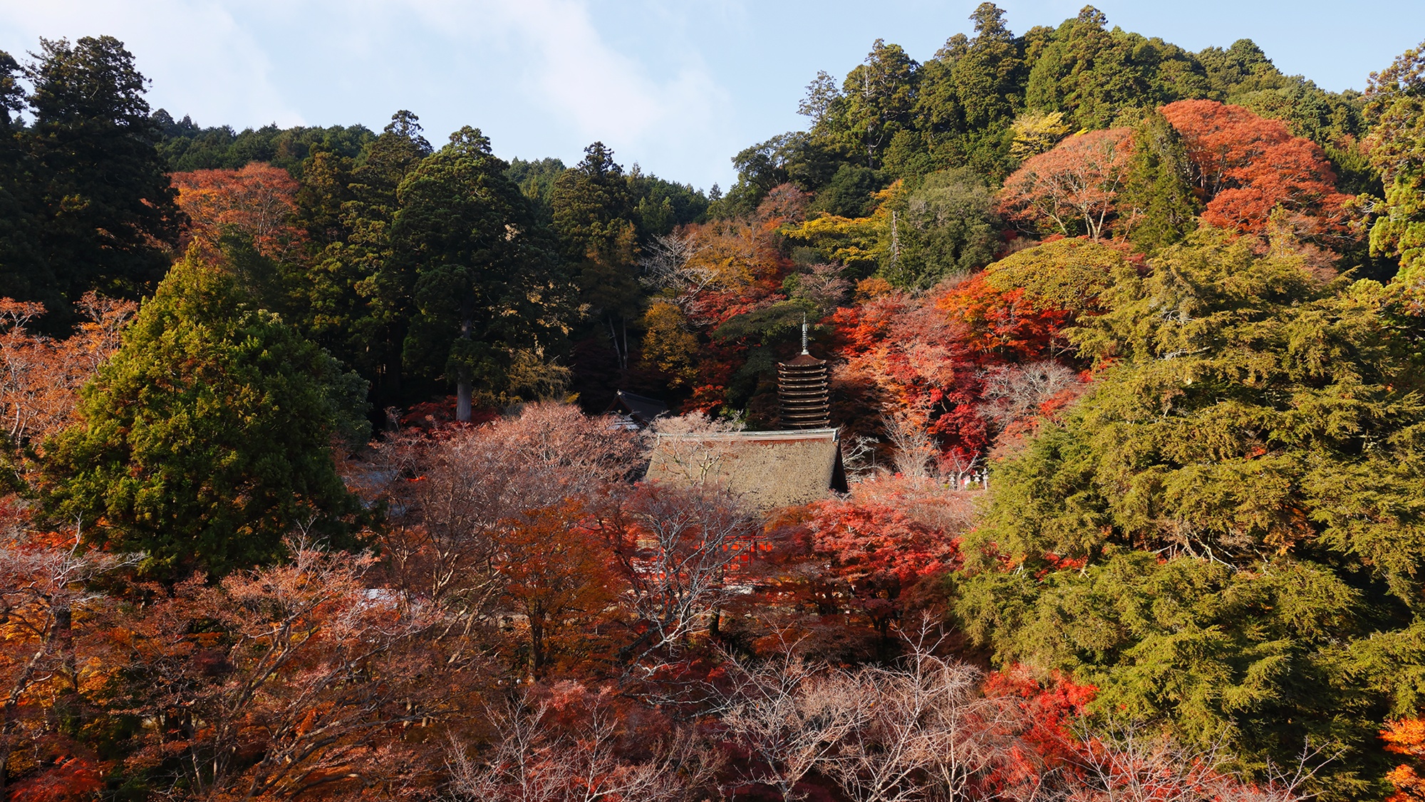 【談山神社　十三重塔を望む】本館和室　お部屋からの眺望（秋）