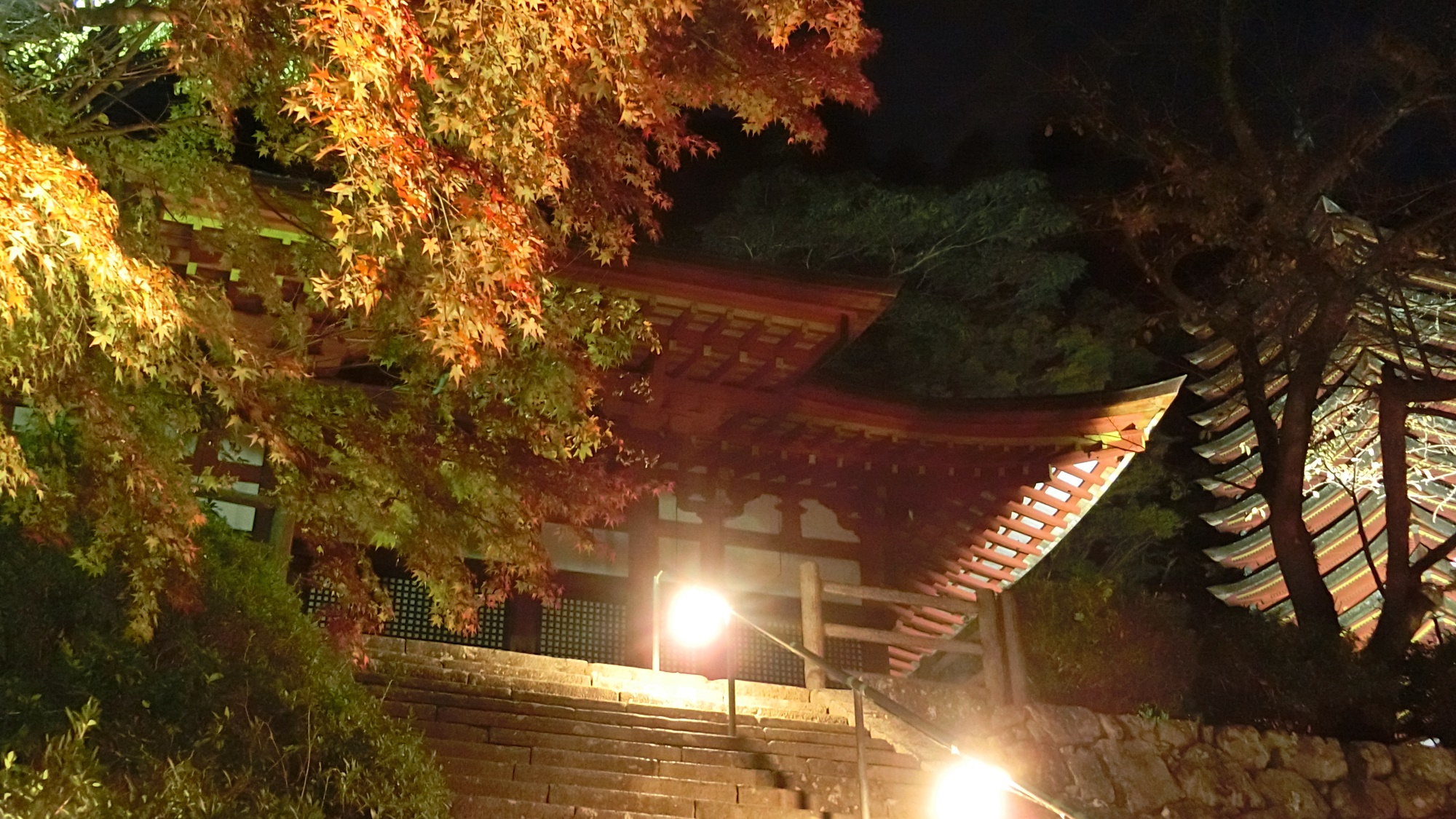 談山神社　秋の紅葉ライトアップ