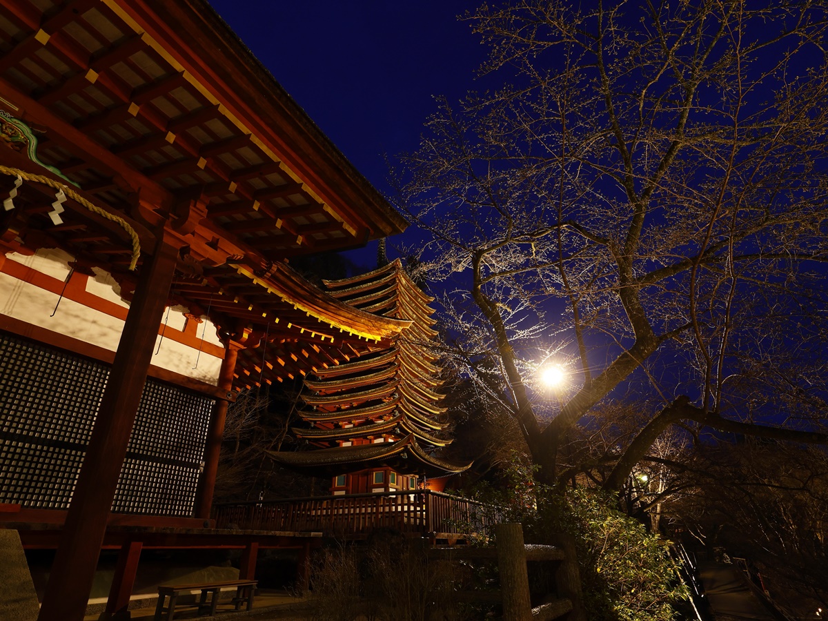 権殿と十三の塔