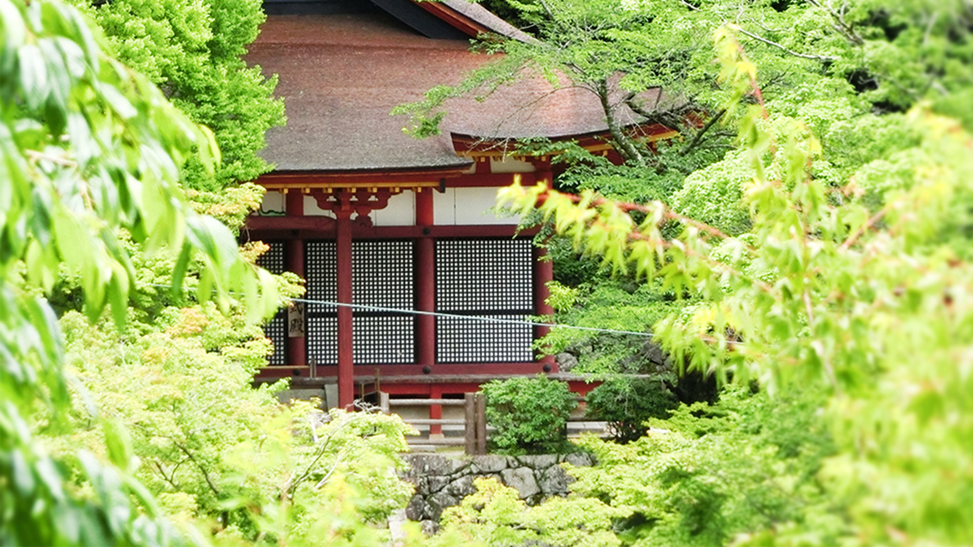 夏　談山神社　新緑の中の権殿　美しいのは秋だけではございません！  