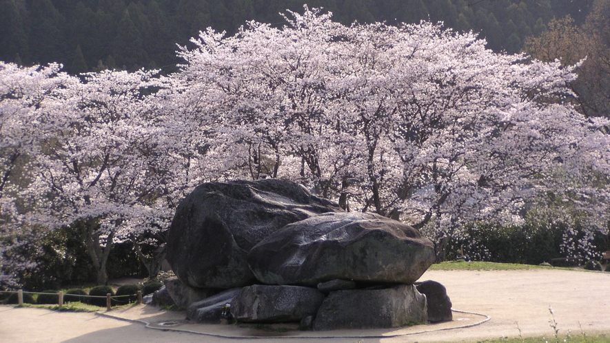 *【石舞台夜桜ライトアップ】