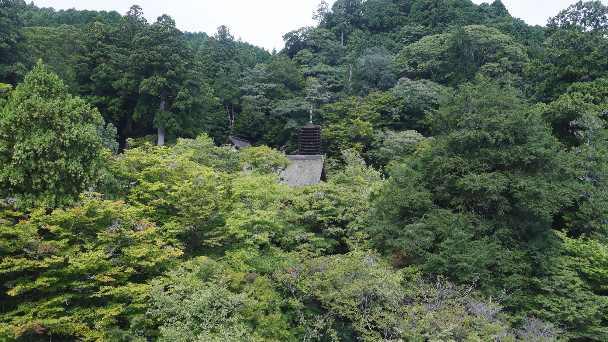 ★東館客室からの眺望（神社の拝殿）