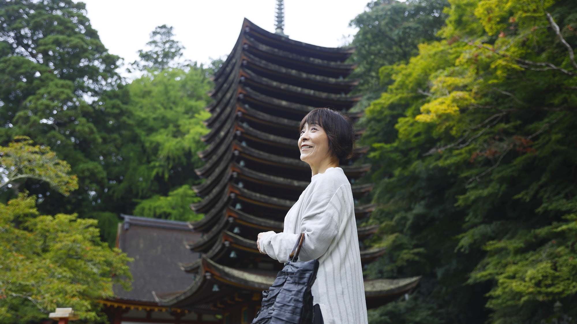 談山神社　観光イメージ