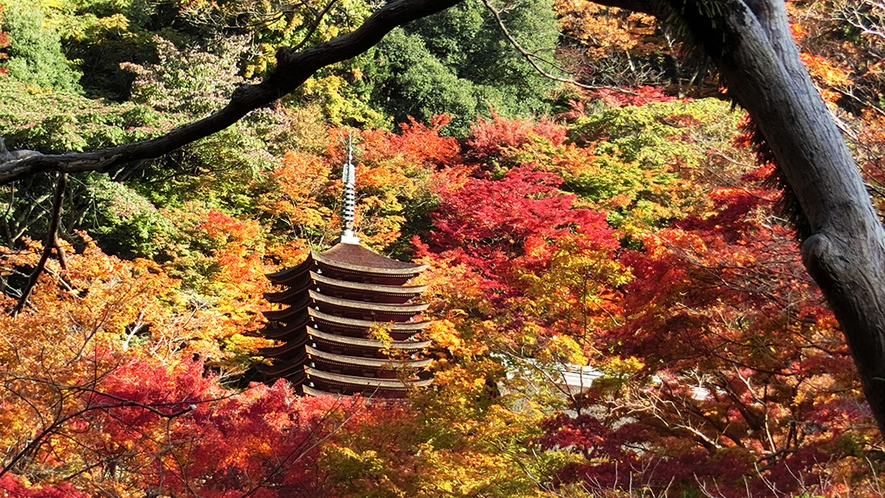 初秋　談山神社