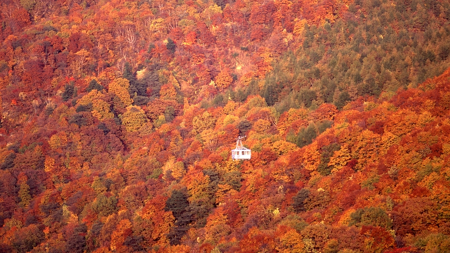 #【蔵王観光】秋の絶景。蔵王の紅葉は「お釜」から。エコーラインなど見所多数！