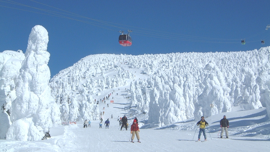 #【蔵王温泉スキー場】樹氷原コースは圧巻の景色に！2月が最も見頃です！