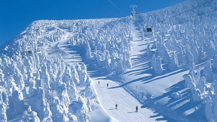 #【蔵王温泉スキー場】樹氷原コースは圧巻の景色に！2月が最も見頃です！　