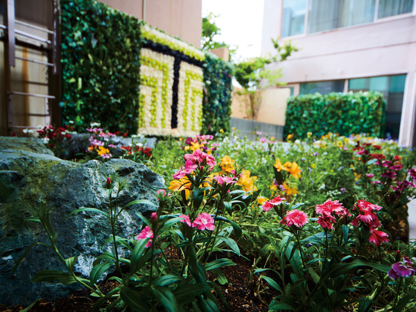 tマークシティホテル札幌 設備 アメニティ 基本情報 楽天トラベル tマークシティホテル札幌 設備 アメニティ 基本情報 楽天トラベル