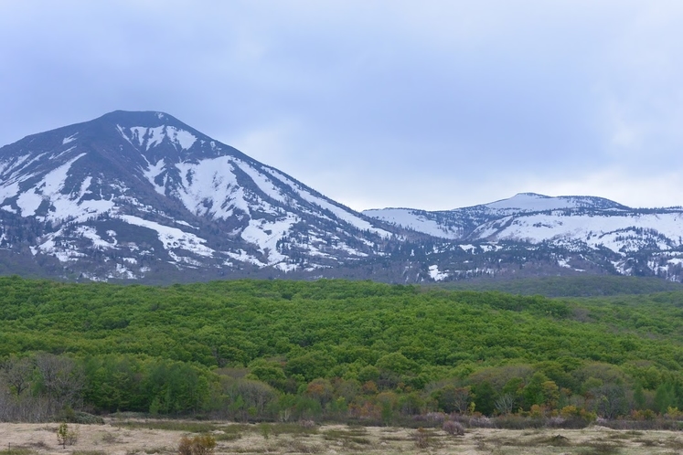 新緑の八甲田・山