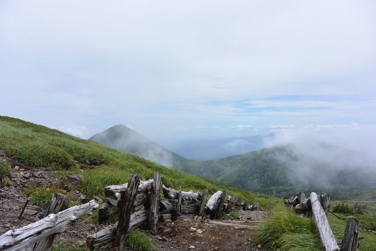 初夏・登山道