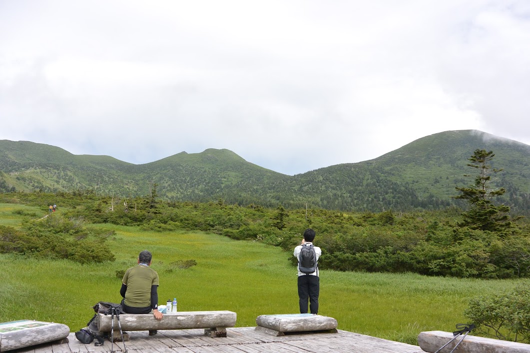 初夏・登山道