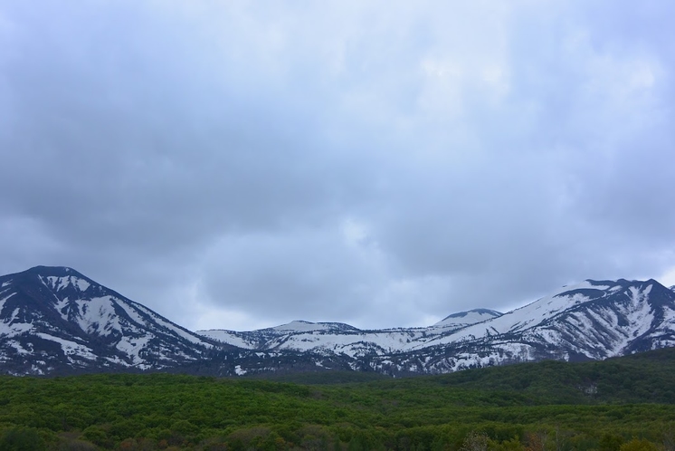 新緑の八甲田・山