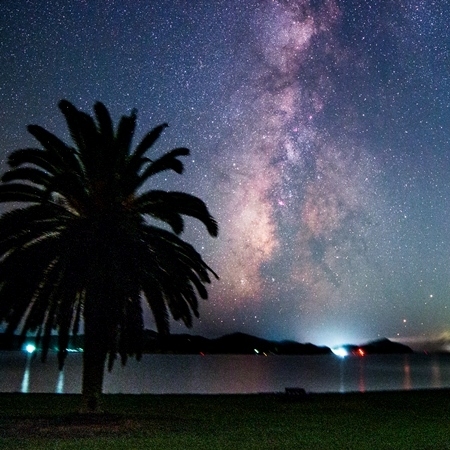 4/18リニューアルオープン【丘・森の中のプライベート空間】『ヴィラ』に宿泊！ホテルの朝食ブッフェ付