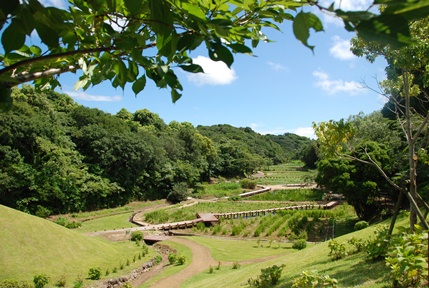 里山水生園