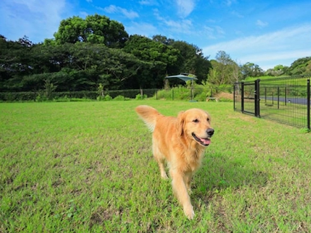 フォレストヴィラDOG（大型犬まで）
