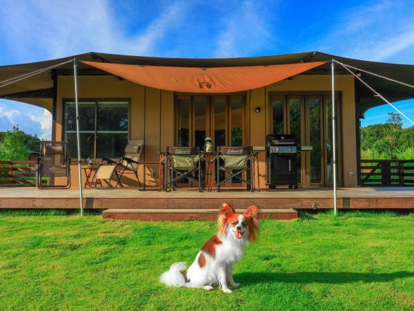 フォレストヴィラDOG