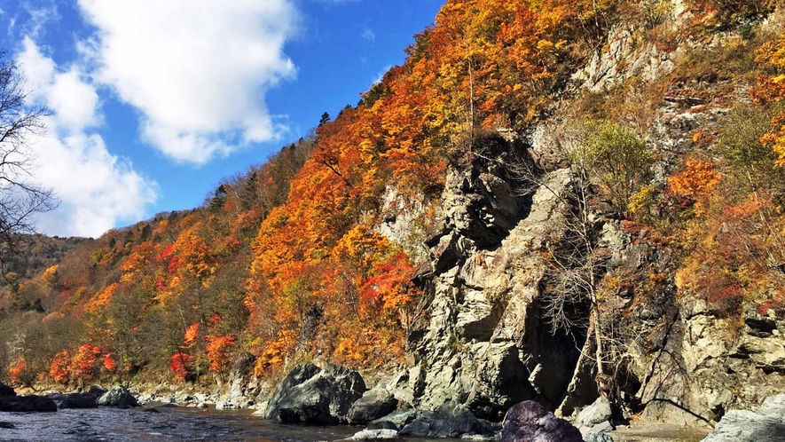 【周辺】村立自然公園「赤岩青巌峡」は巨岩が織りなす独特の景観が魅力です。