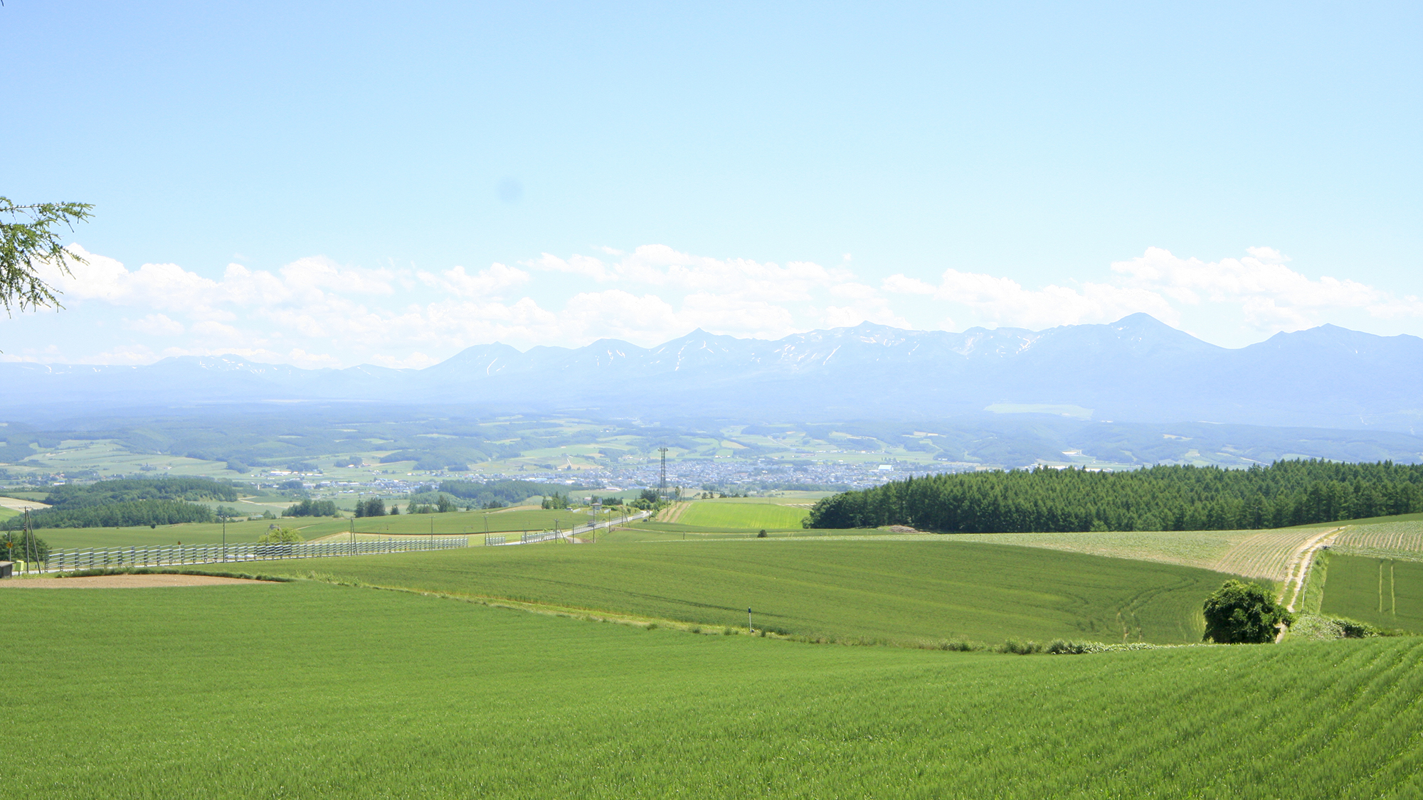 ＃富良野風景