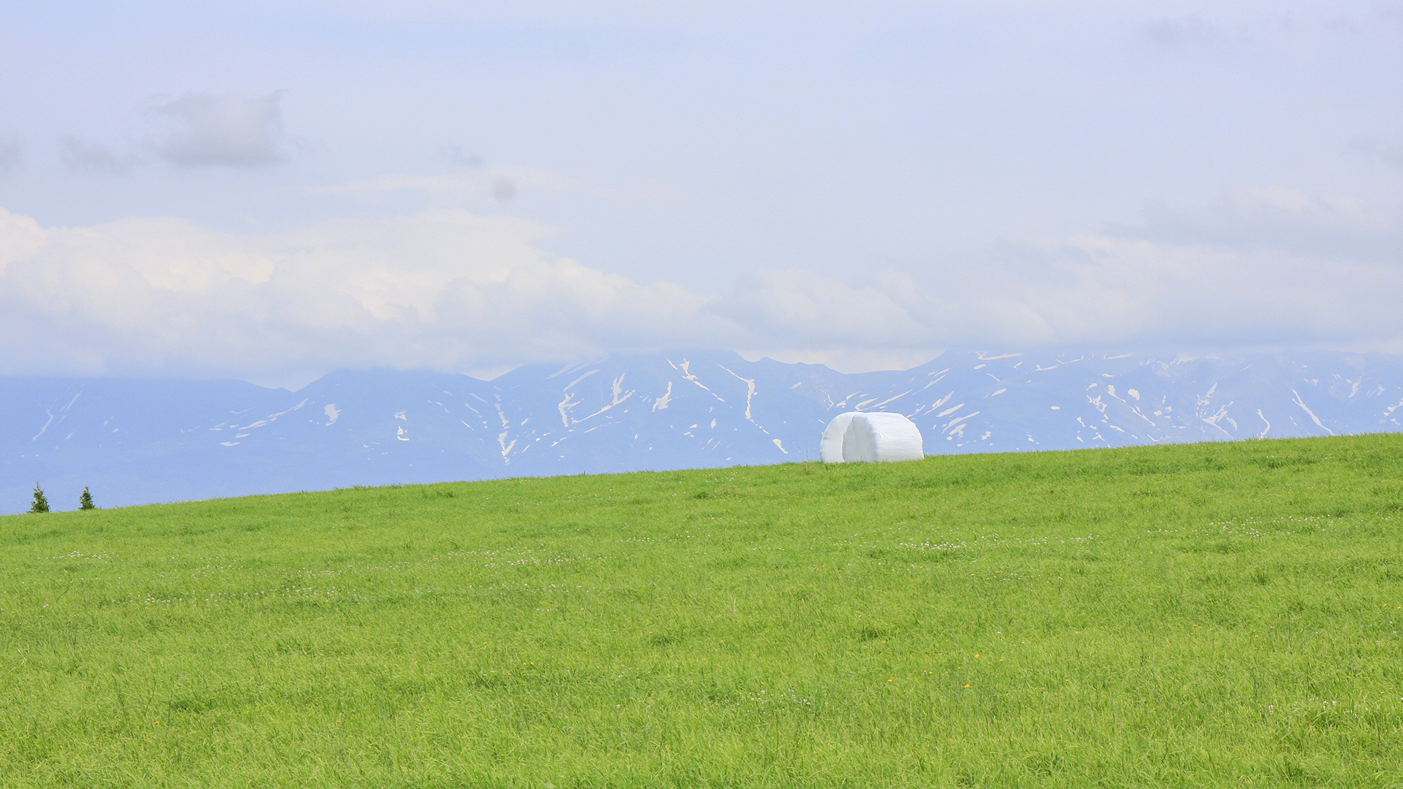 ＃美瑛の初夏風景