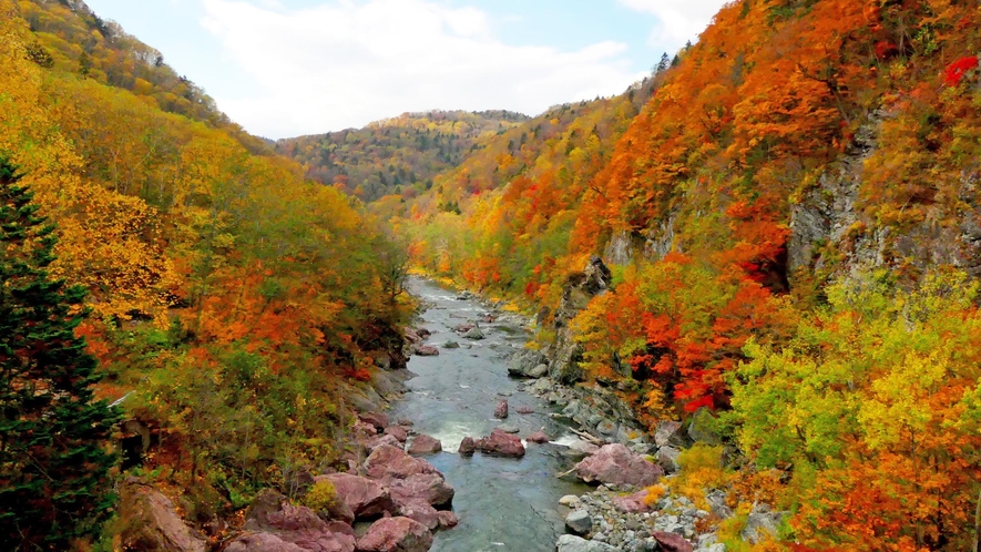 【周辺】赤岩青巌峡（紅葉）