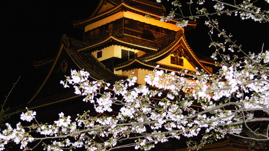 【松江城と桜】松江城の桜はお堀からでもきれいですよ♪