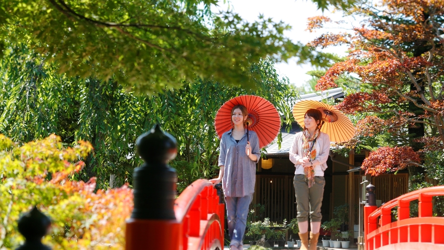 【由志園：秋】ライトアップされた紅葉。鮮やかに彩ろられた光景が広がります。当館からお車で約45分