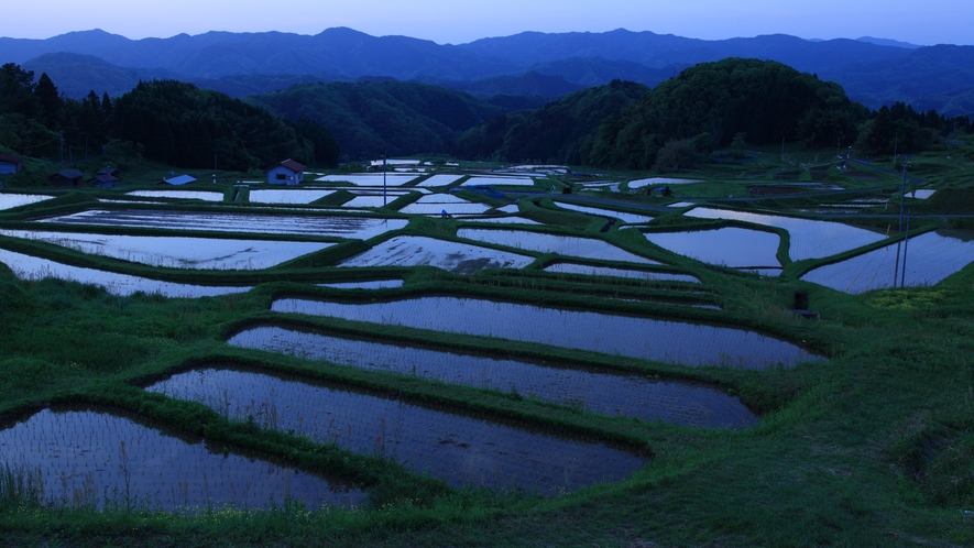 【山王寺の棚田】