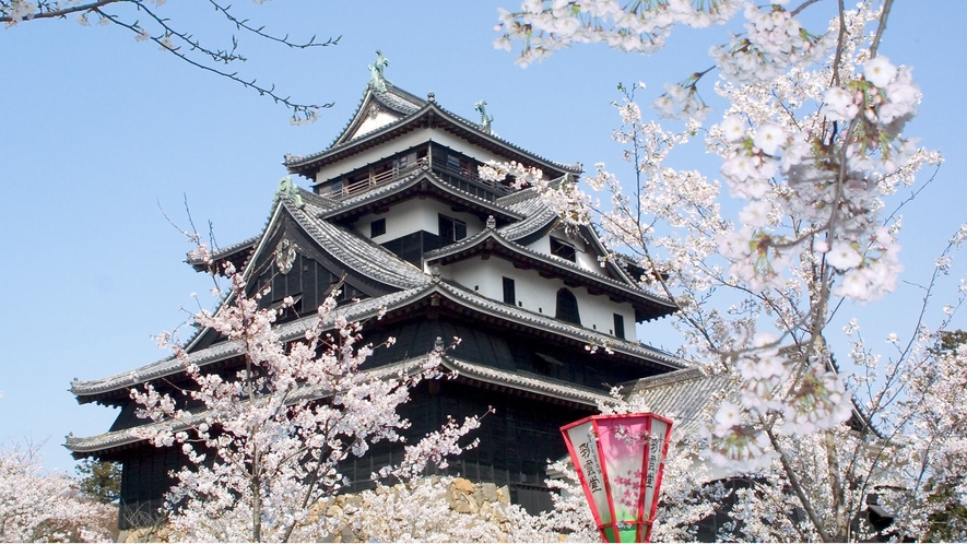 【松江城と桜】松江城の桜はお堀からでもきれいですよ♪