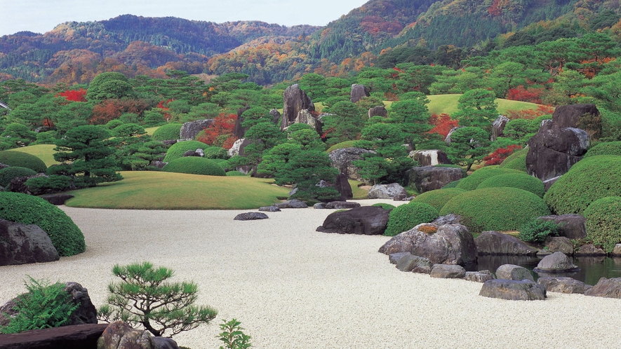 【足立美術館：秋】秋の紅葉が美しい足立美術館の日本庭園