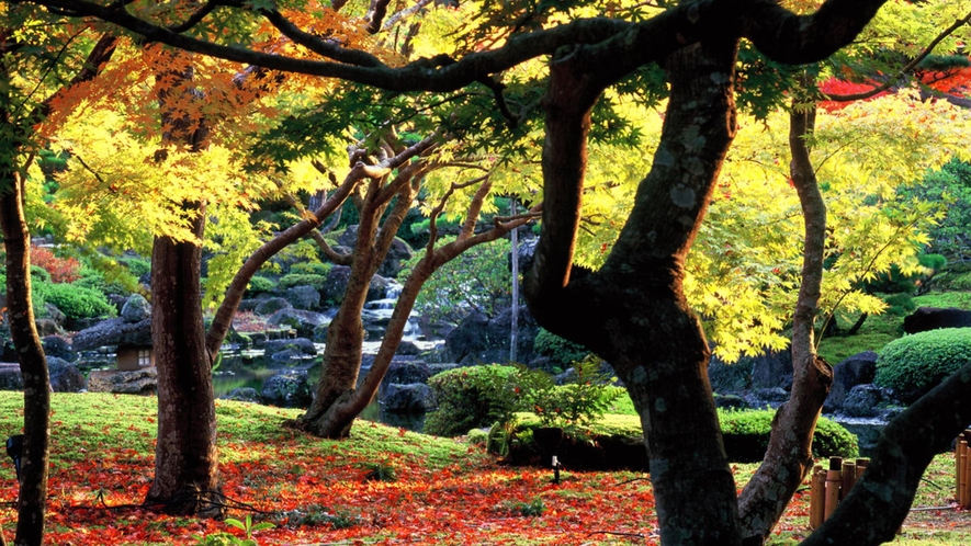 【由志園：秋】ライトアップされた紅葉。鮮やかに彩ろられた光景が広がります。当館からお車で約45分