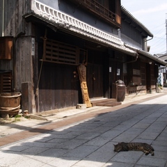 ねこさまと町並み保存地区