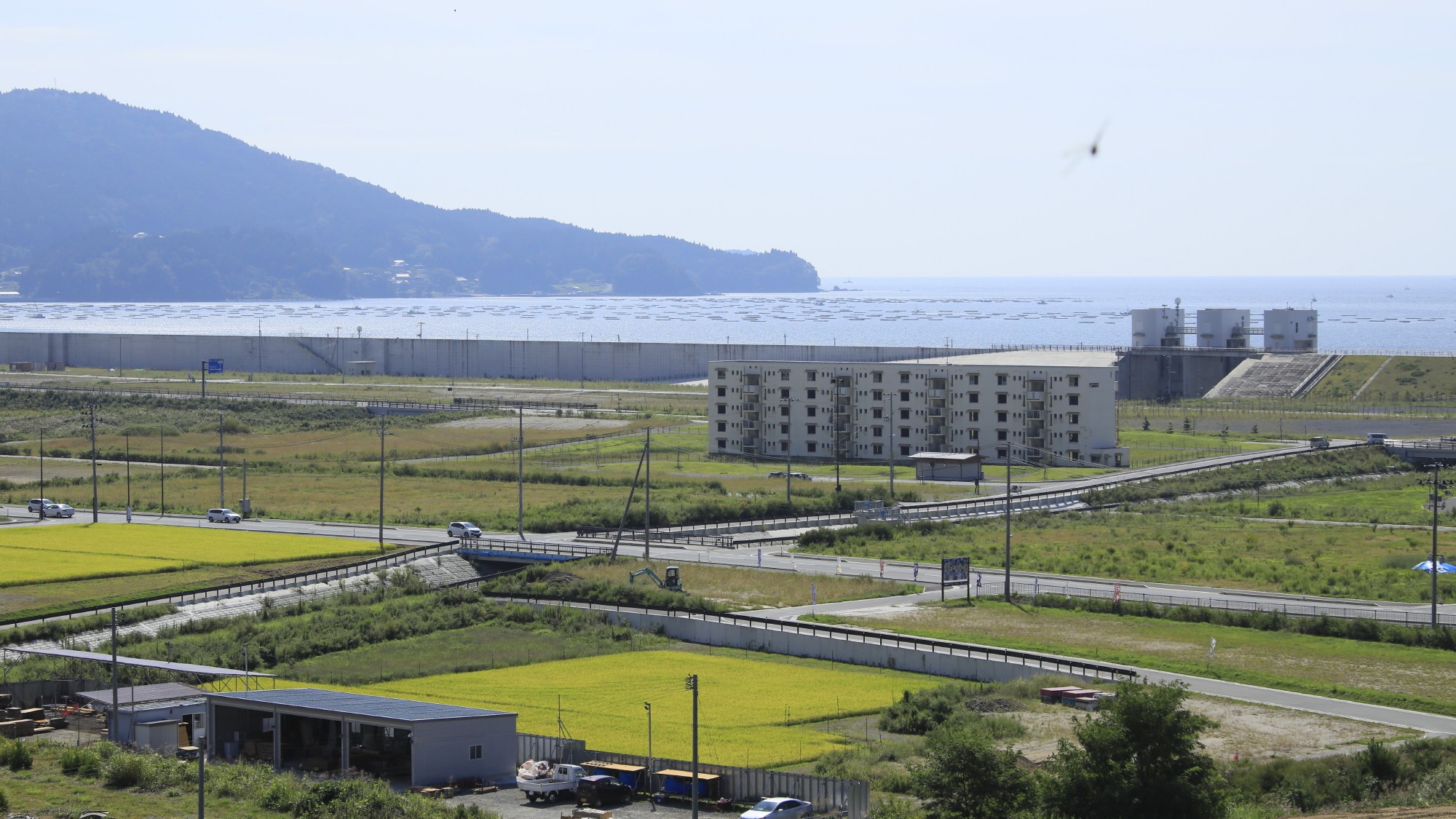 ホテルの屋上からの眺望