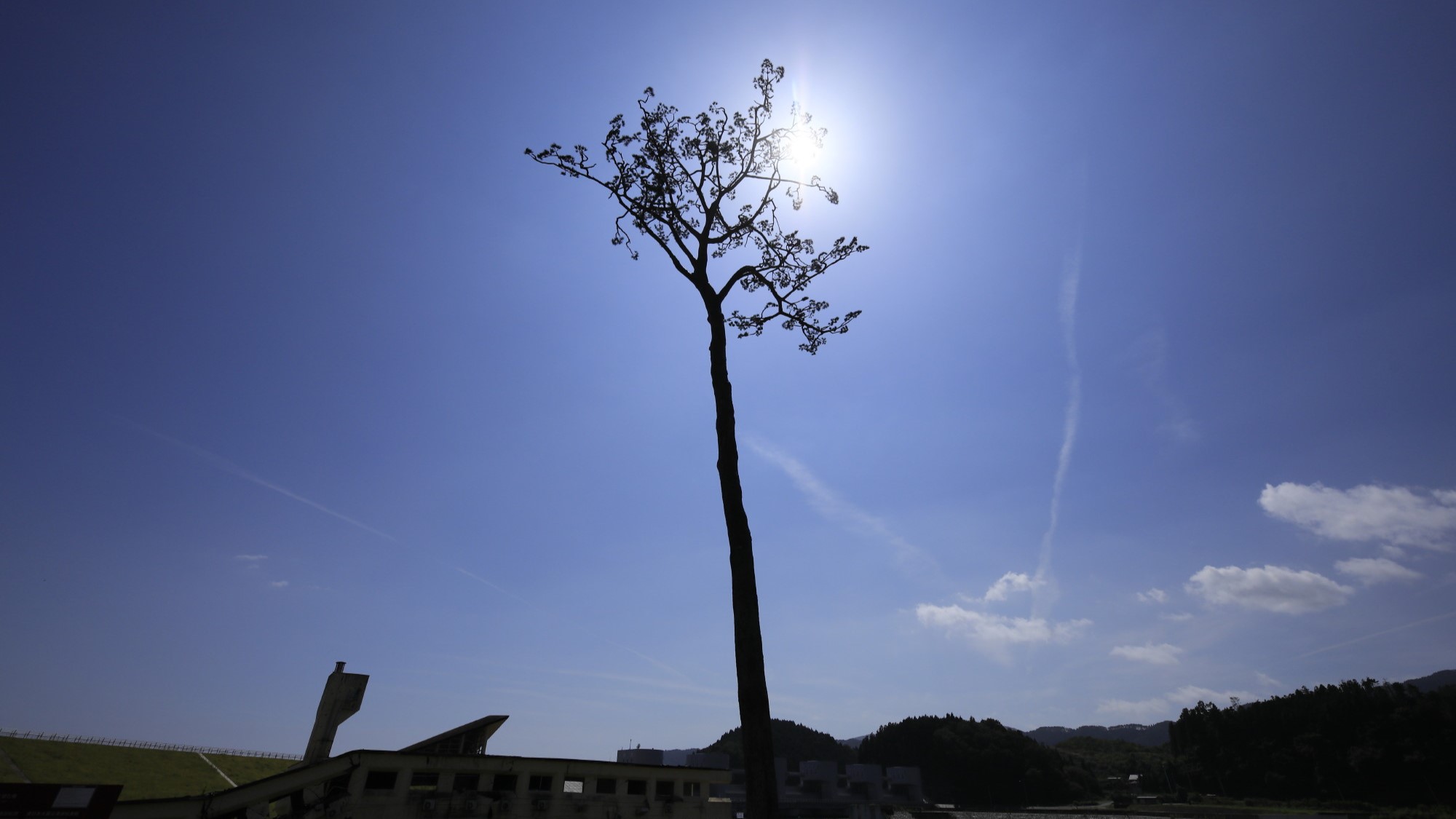 【奇跡の一本松】当館から車で約5分
