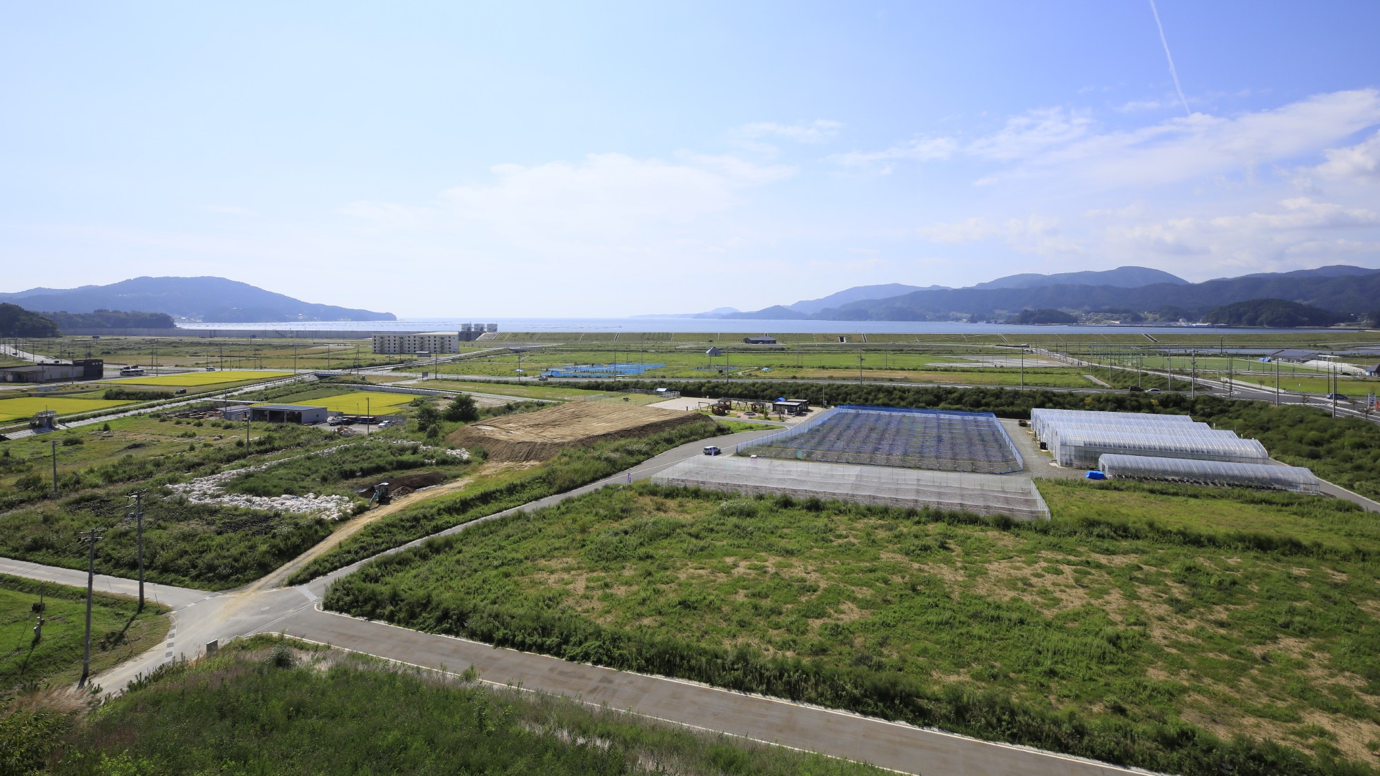 ホテルの屋上からの眺望