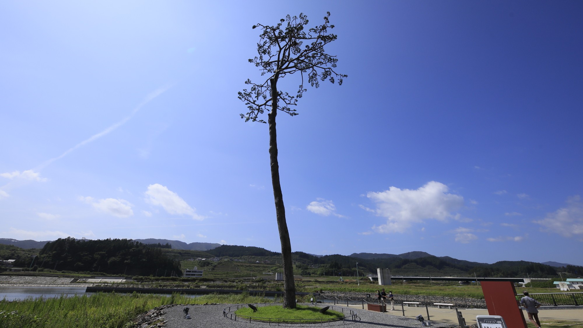 【奇跡の一本松】当館から車で約5分